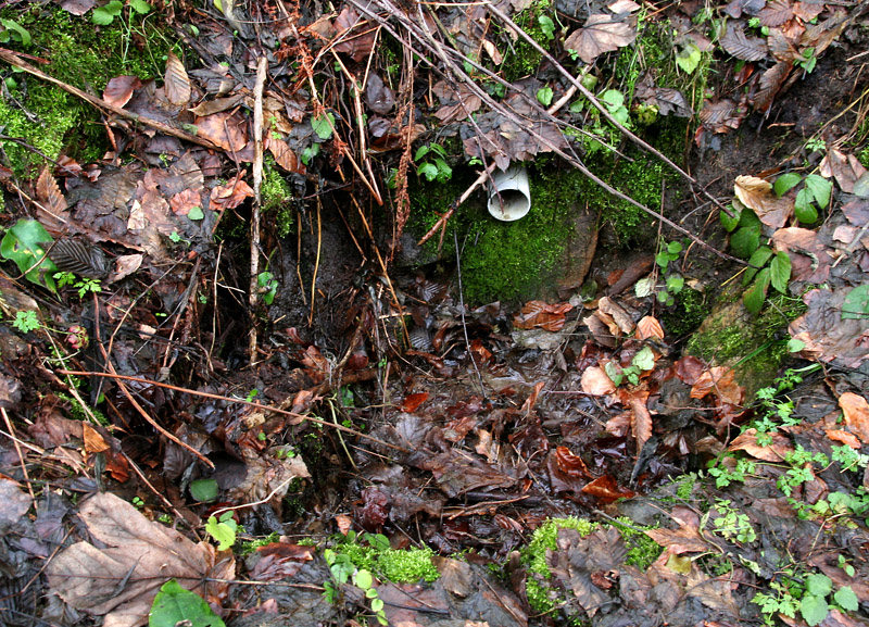 studánka U Vodojemu (4335) - leden 2011