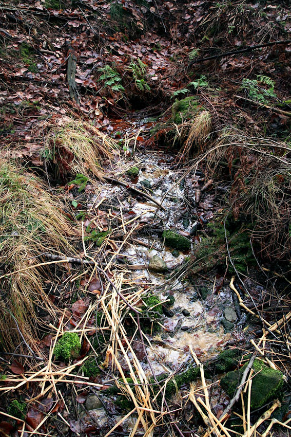 Prameniště pod Komoncem (4338) - leden 2011