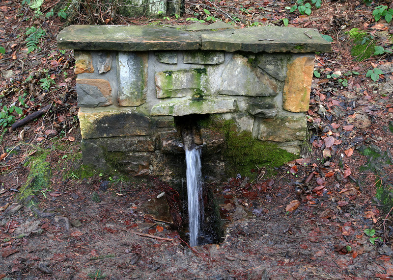 studánka Chladná voda (4339) - leden 2011