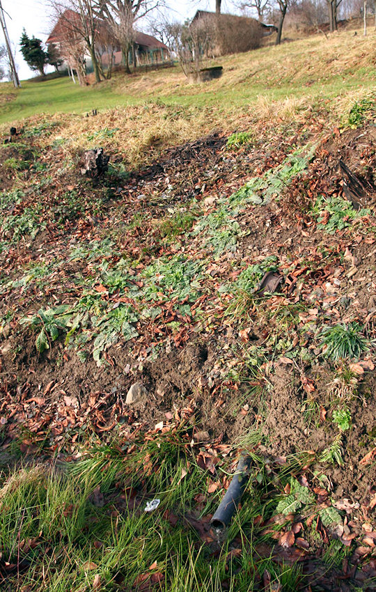 studna U Kříže (4340) - leden 2011