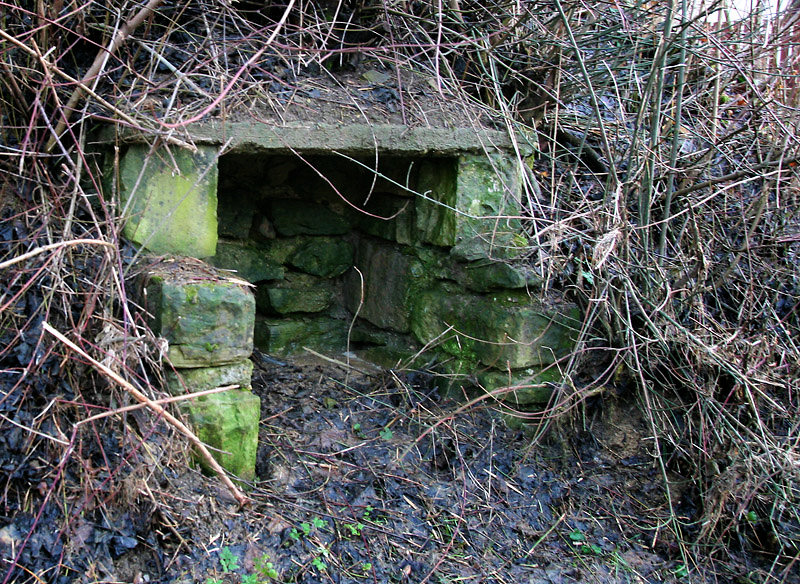 Sirná studánka (4341) - leden 2011