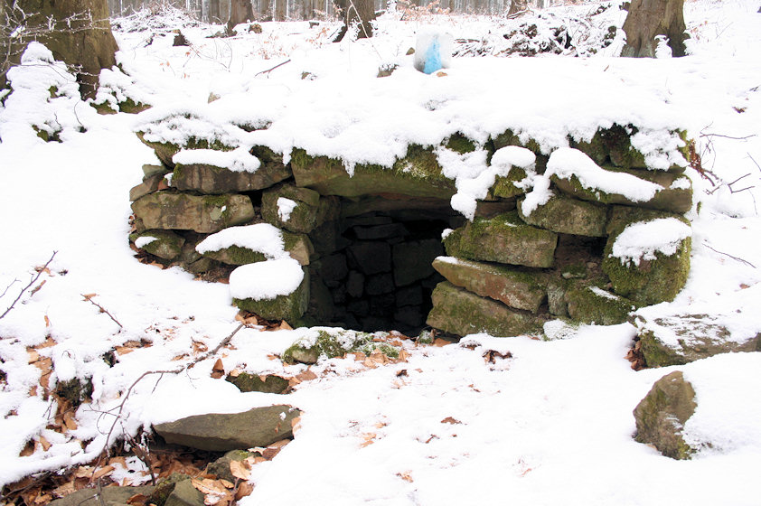 studánka Nad Stínavou - Židovka (4353) - leden 2011