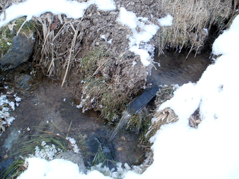 studánka bez jména (4354) - leden 2011