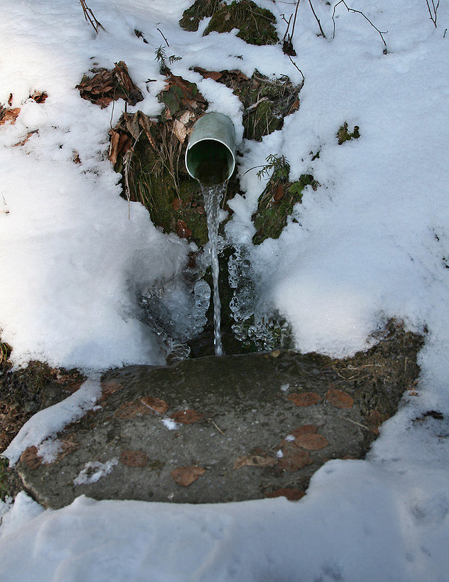 studánka Hawai (4358) - leden 2011