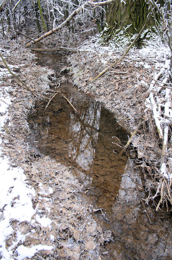 Prameniště u Hrušky (4363) - leden 2011