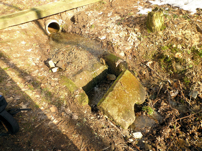 studánka U židovského hřbitova (4380) - únor 2011