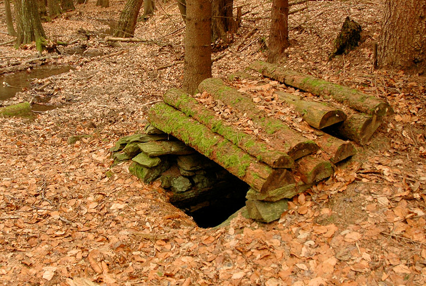 Studánka v Myslivcově žlebu 2 (4382) - únor 2011