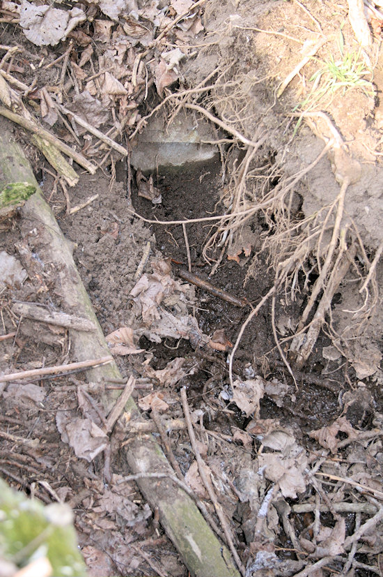 studánka Za Rybníkem (4392) - únor 2011
