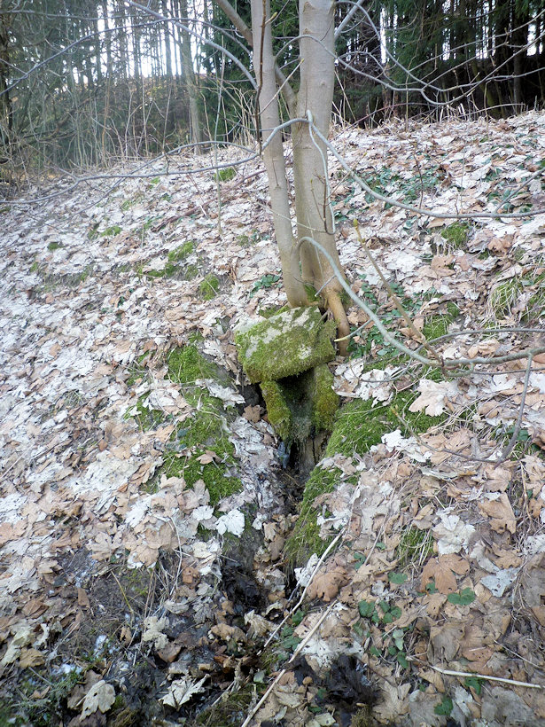 studánka Pod Smrky (4417) - březen 2011