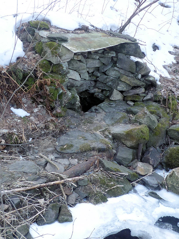 studánka Pod tratí (4428) - březen 2011