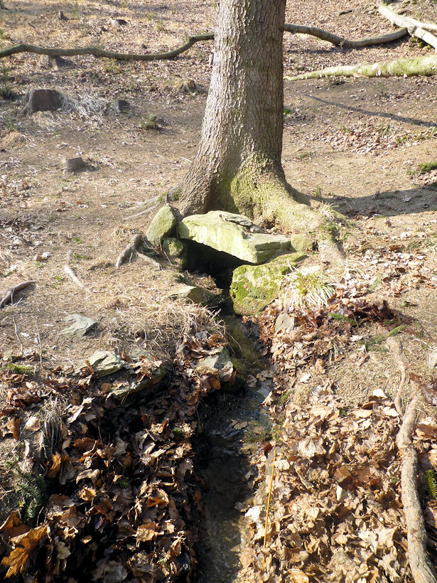 studánka Pod Přímem (4430) - březen 2011
