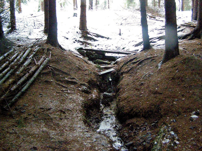 studánka bez jména (4444) - březen 2011