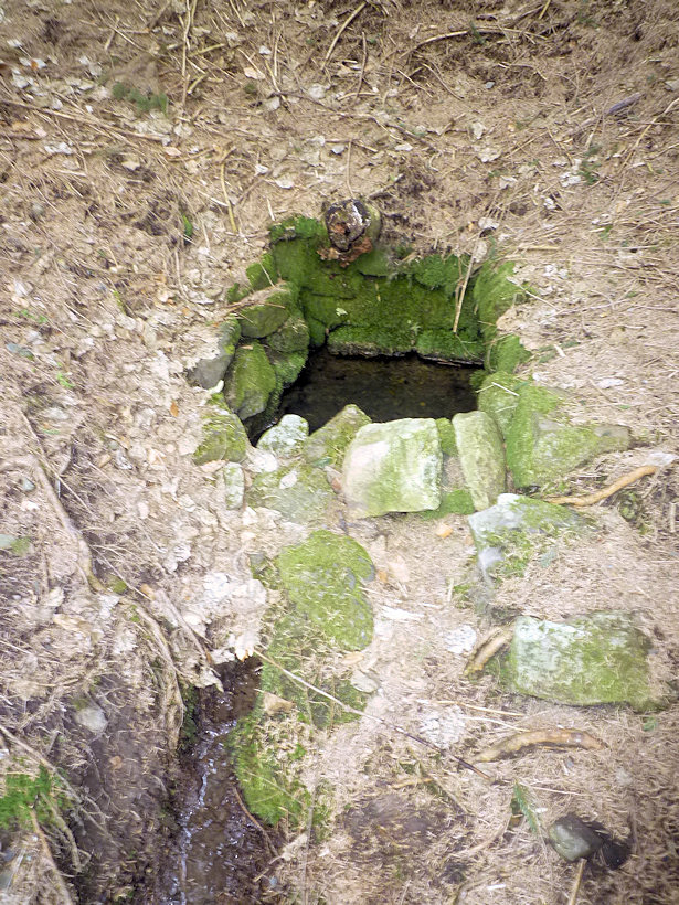 studánka Marijánská (4445) - březen 2011