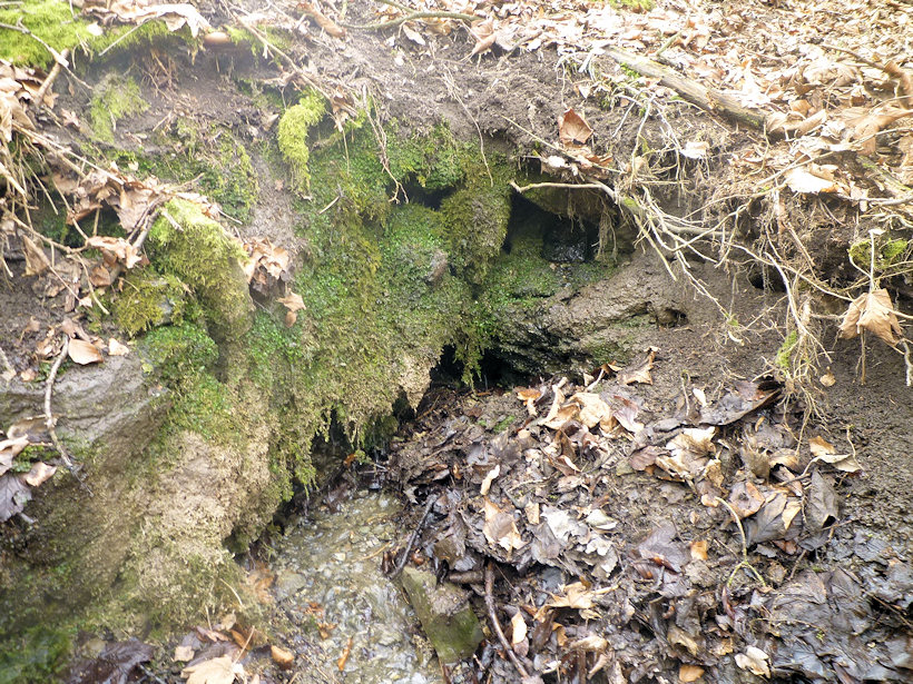 studánka Ve stráni (4446) - březen 2011