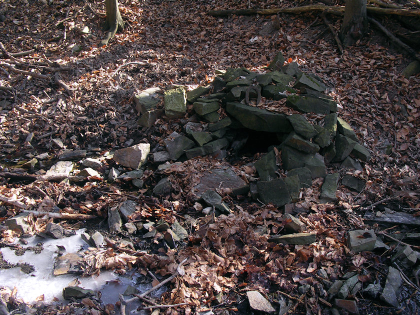 studánka V Páskové horce (4449) - březen 2011