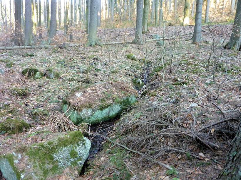 pramen U Lunaparku (4452) - březen 2011