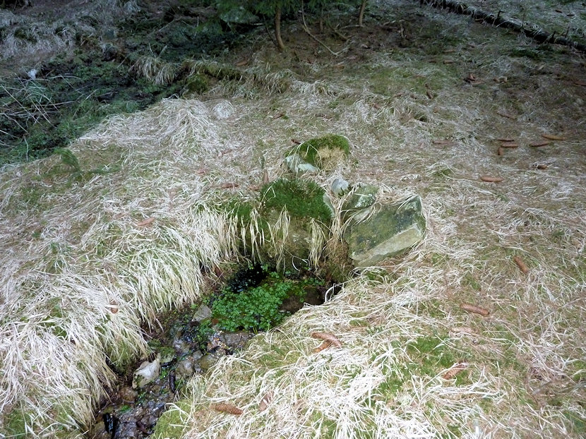 Lesní pramen (4453) - březen 2011
