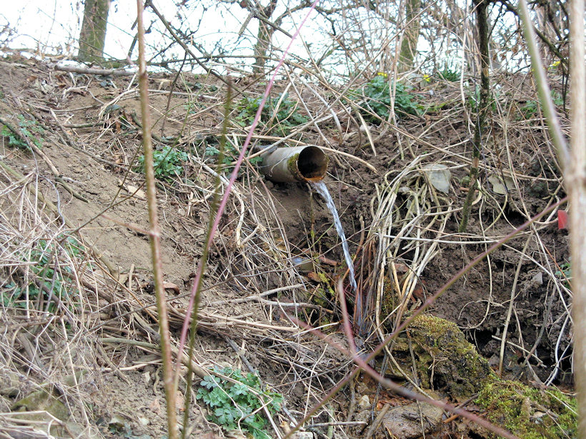 jiný vodní zdroj bez jména (4457) - březen 2011