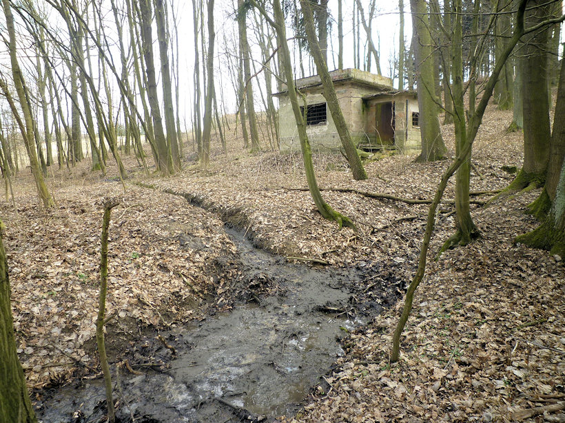 prameniště bez jména (4472) - duben 2011