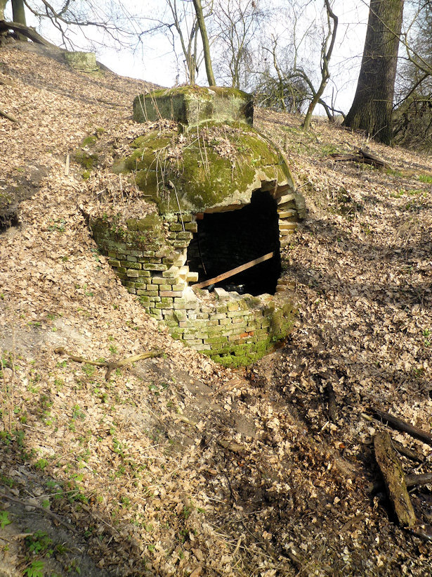 Studánka pod Strýcem (4473) - duben 2011