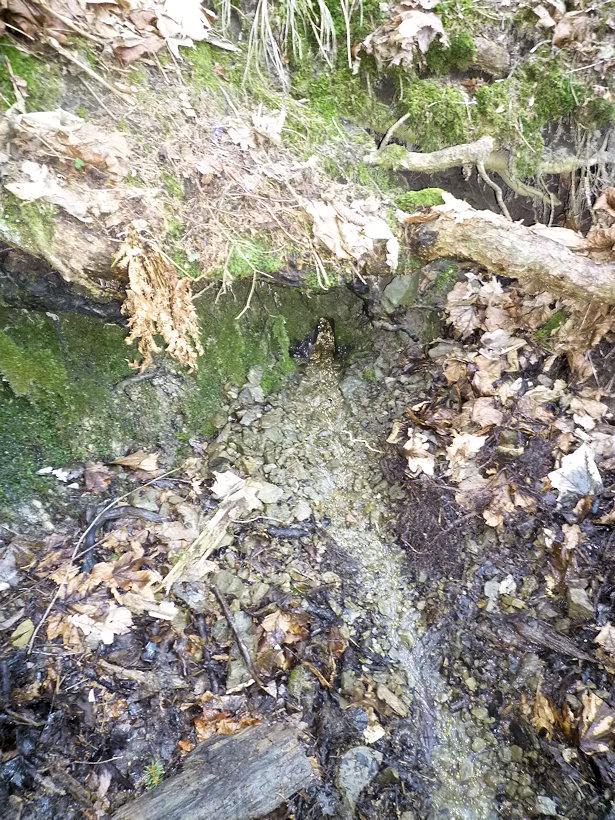 studánka Pantoflíček (4475) - duben 2011