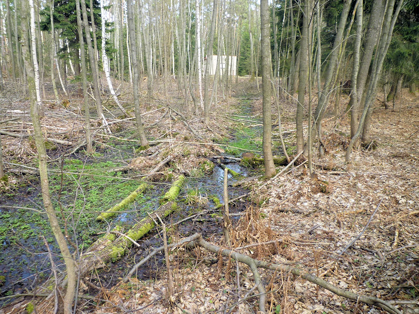 prameniště U vodovodu (4478) - duben 2011