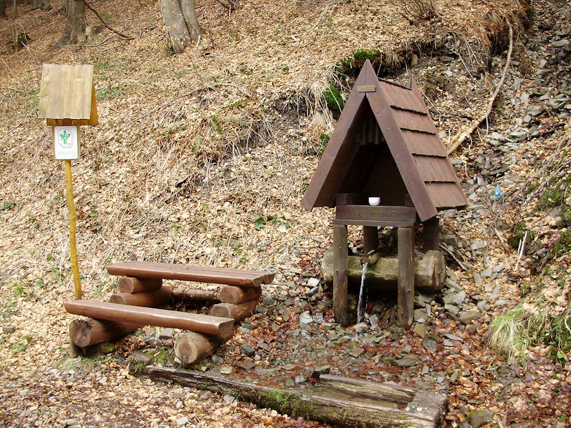 studánka Na sídle (4483) - duben 2011