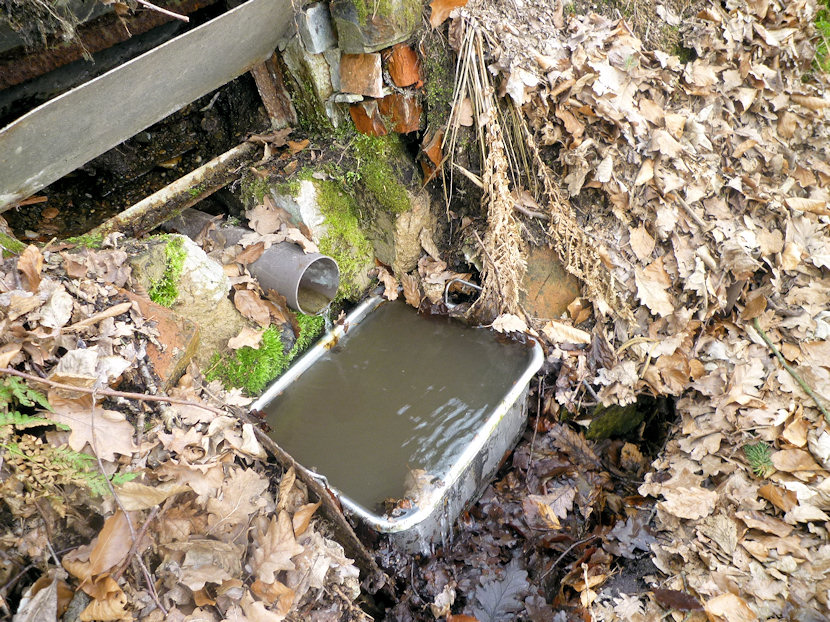 studánka Mílová 2 (4497) - duben 2011