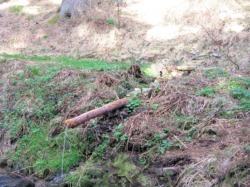 studánka U Hučnice (4510) - duben 2011