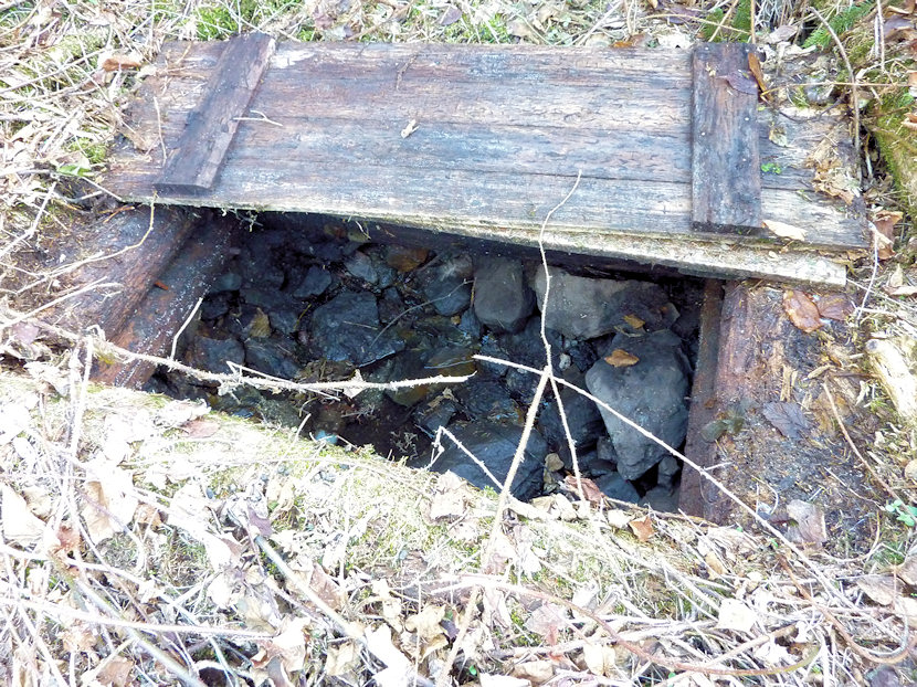 studánka Pod Dylení (4518) - duben 2011