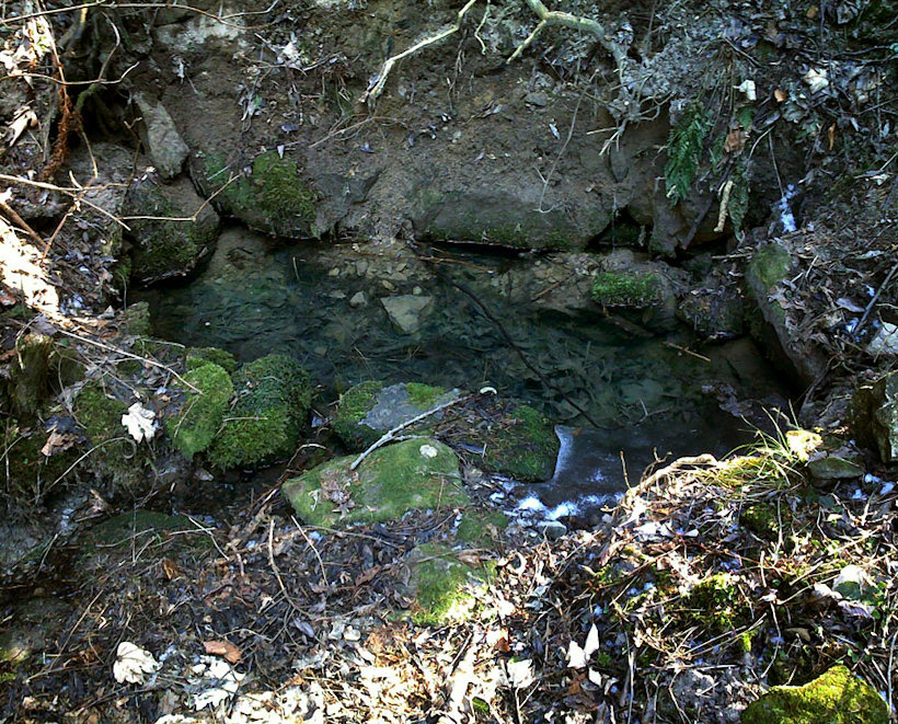 studánka bez jména (4530) - duben 2011