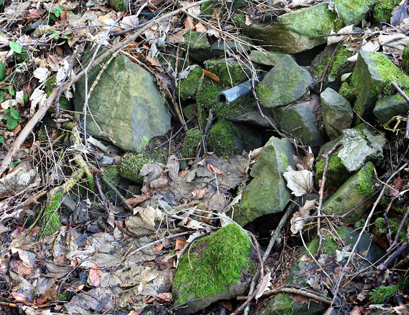 studánka U Vleku (4531) - duben 2011