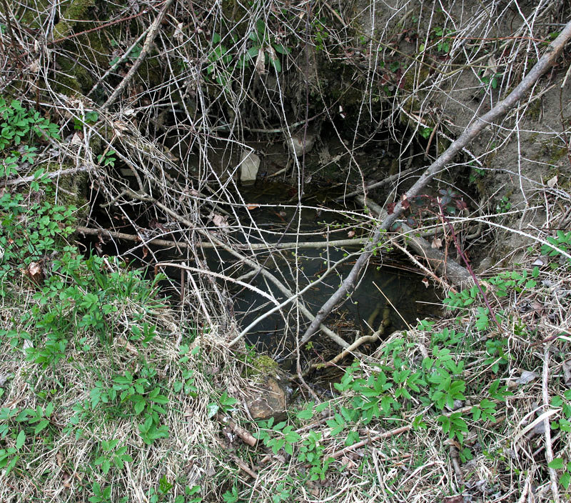 pramen U Poustevníka (4534) - duben 2011