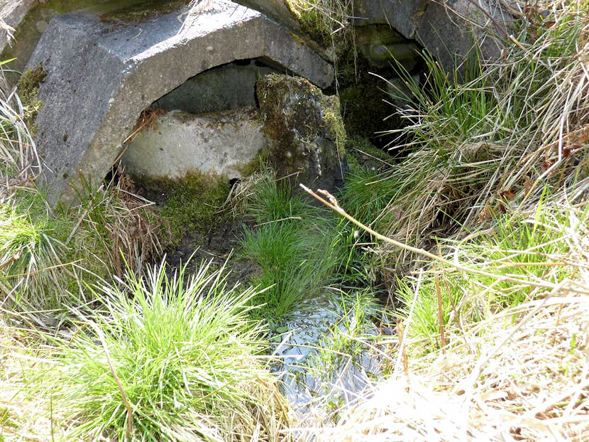 studánka V Cikánce (4548) - duben 2011