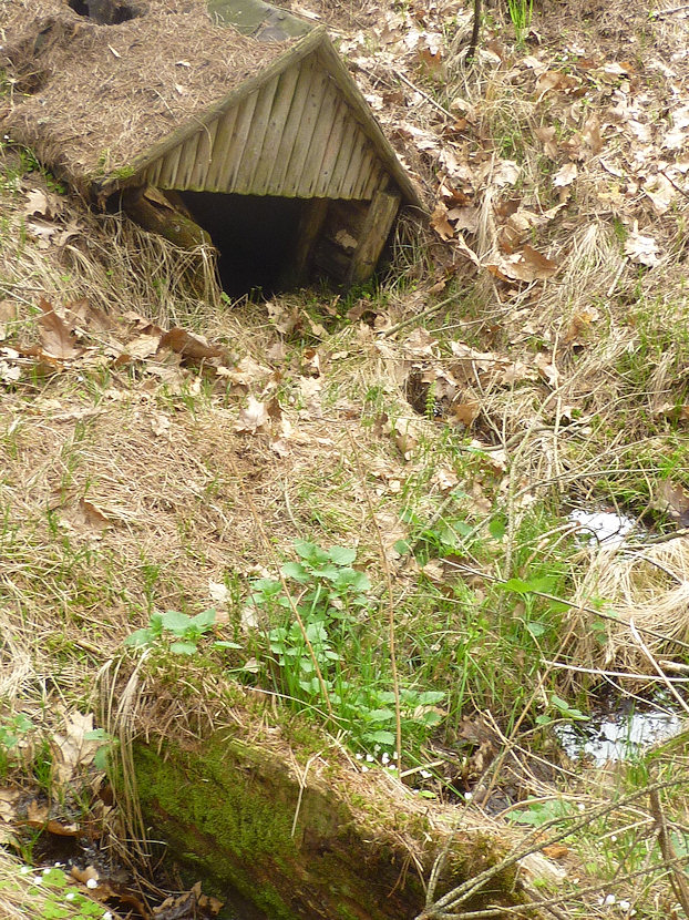 studánka Nad Výskytem (4556) - duben 2011