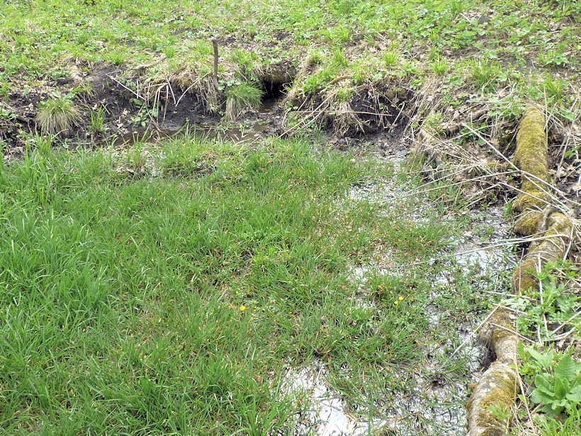 studánka Tuří (4560) - duben 2011