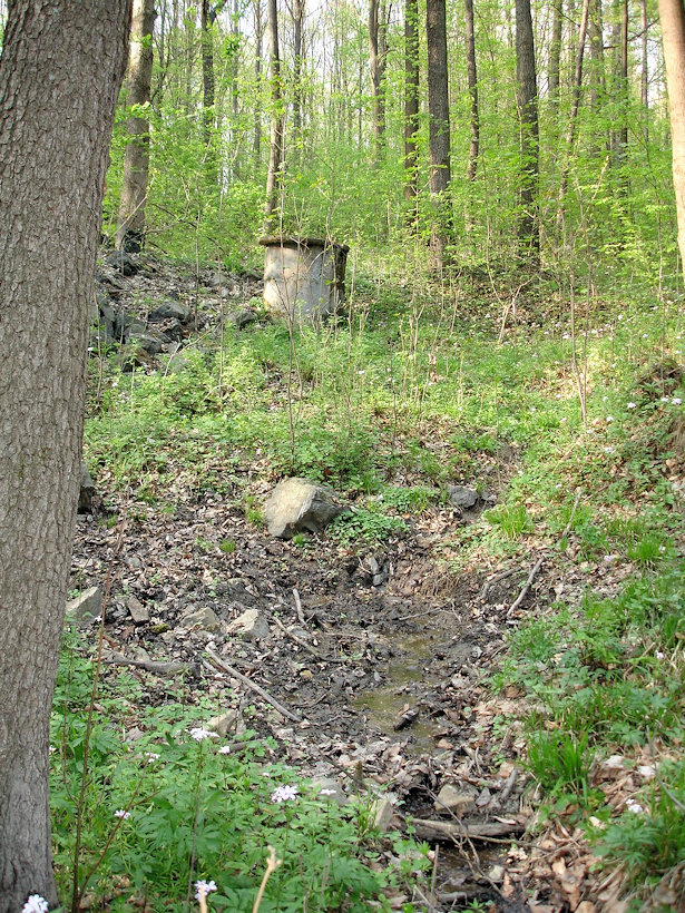 pramen bez jména (4566) - duben 2011