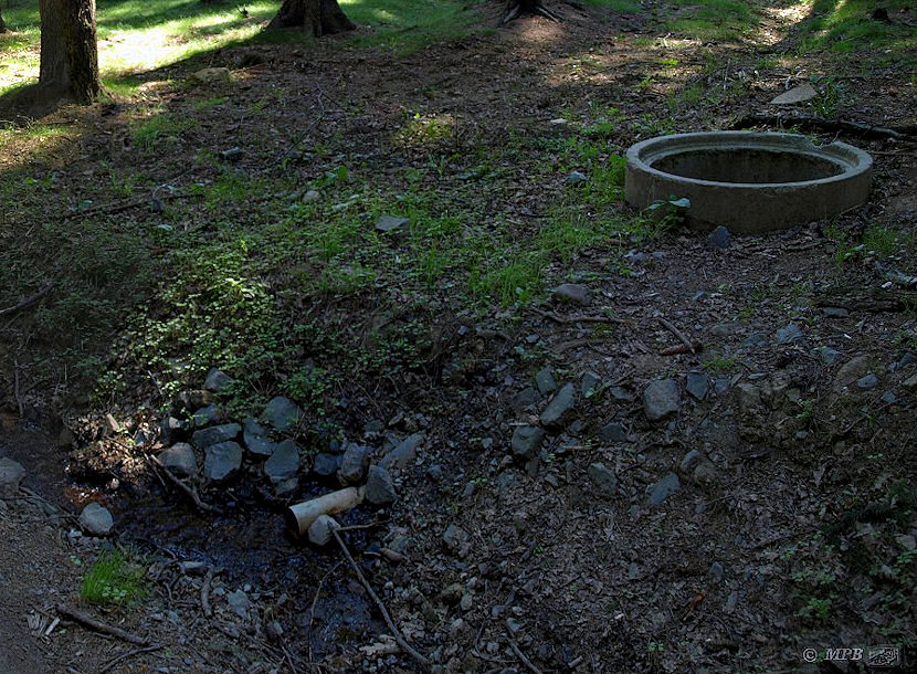 studánka U cesty (4568) - duben 2011