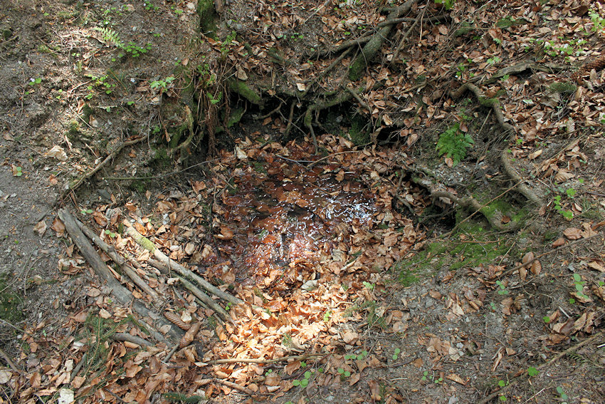 studánka Pod Bradlem (4571) - duben 2011