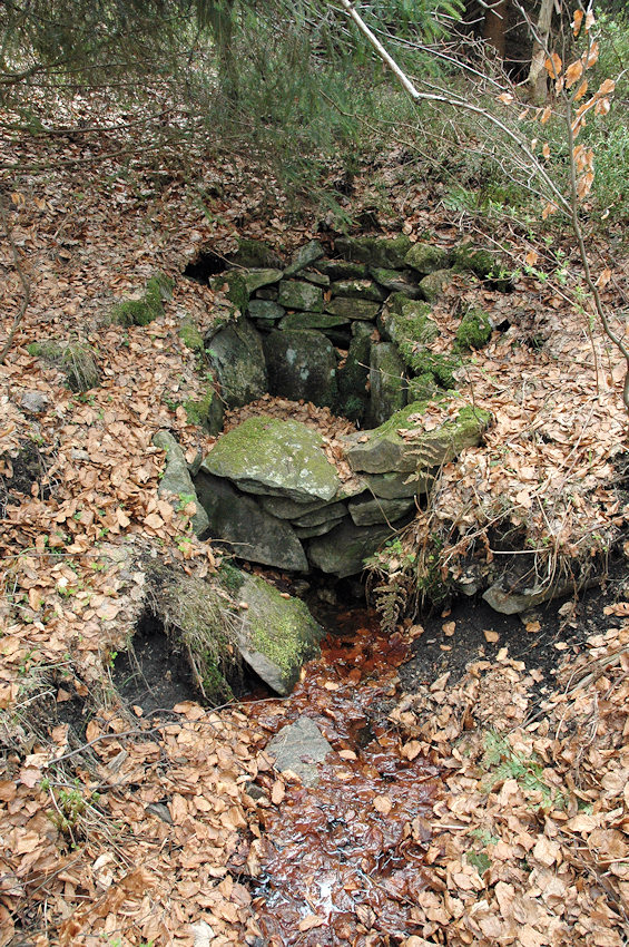 studánka U cesty (4573) - duben 2011