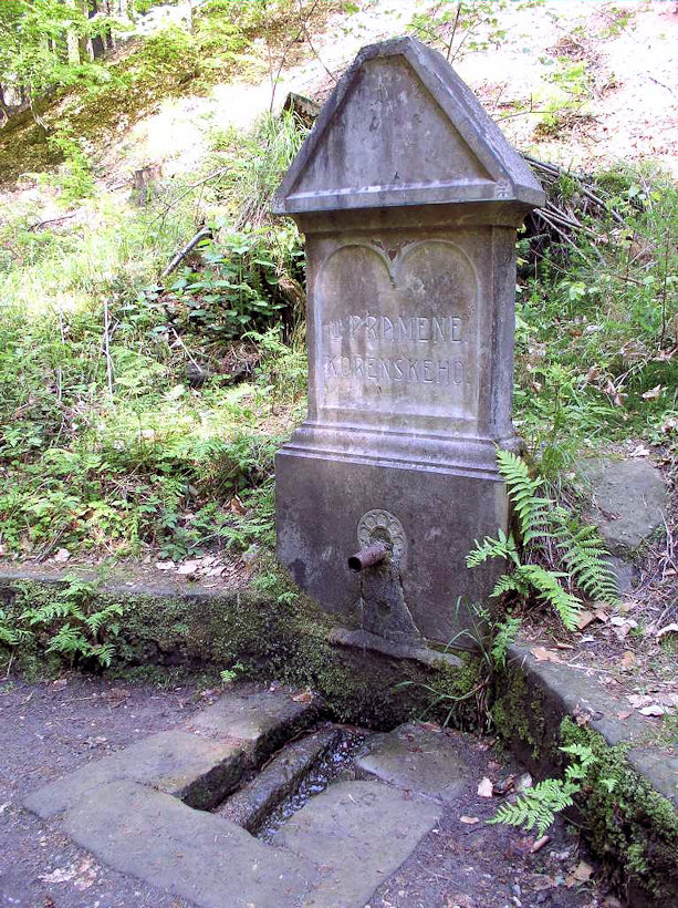 Kořenského pramen (4586) - květen 2011