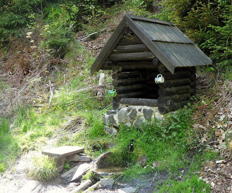 studánka Puklinový pramen (4599) - květen 2011