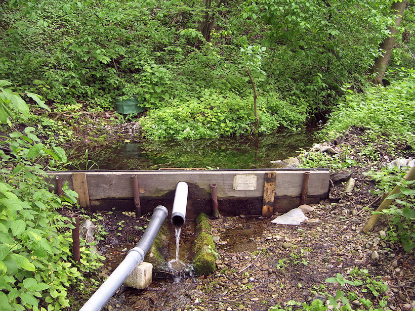 pramen Medenice (4634) - květen 2011