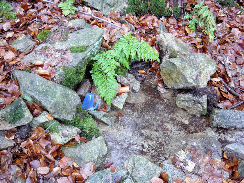 studánka Ždírnická (4639) - květen 2011