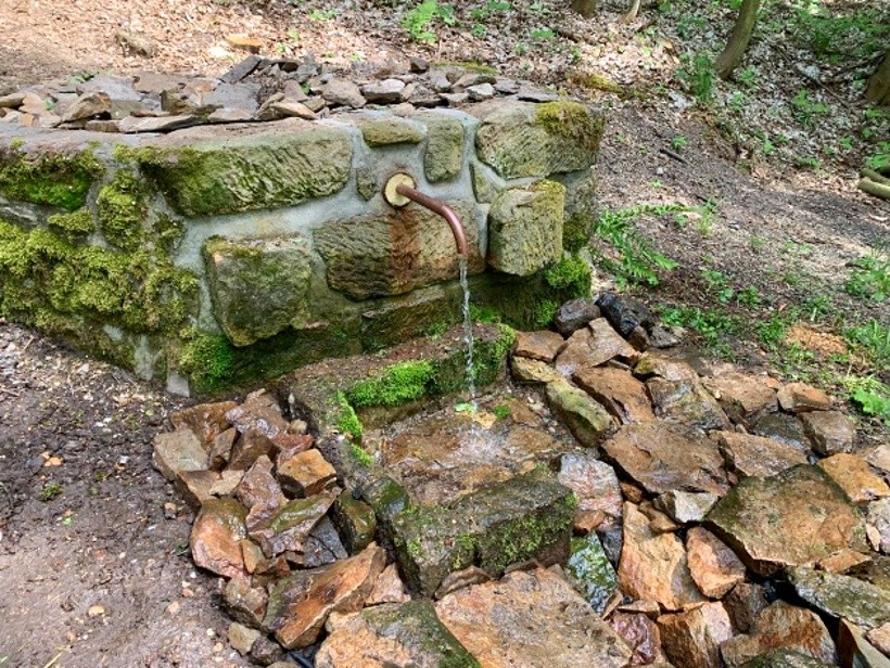 Radešínská studánka (4642) - květen 2023