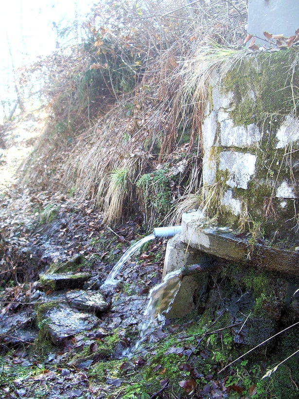 jiný vodní zdroj bez jména (4659) - červen 2011