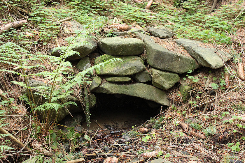 studánka Za Borovou 2 (4674) - červen 2011