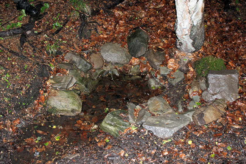 studánka Na Vaňkouši (4677) - červen 2011
