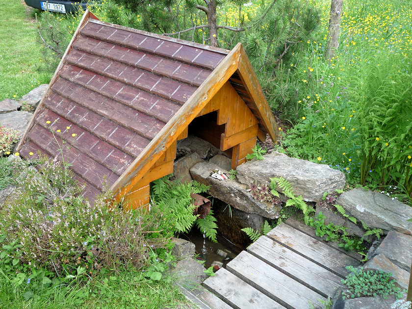 studánka U Elišky (4680) - červen 2011