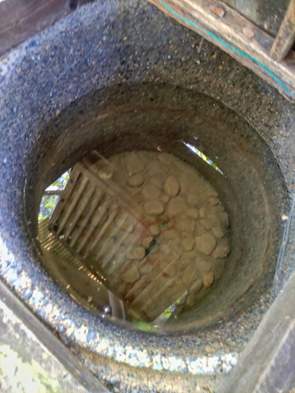 studánka bez jména (4693) - květen 2023